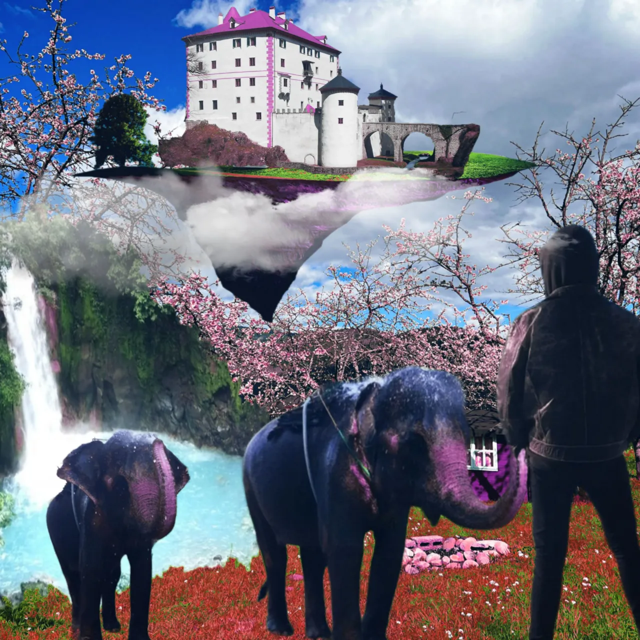 Dreenaflor-Let's Make a Collage.jpg