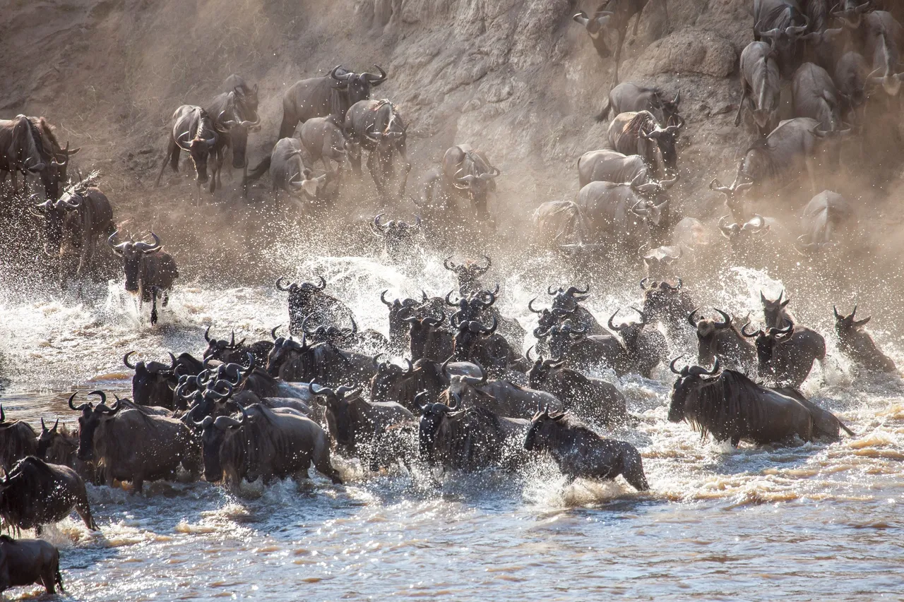 Africa Best (156 of 269).jpg