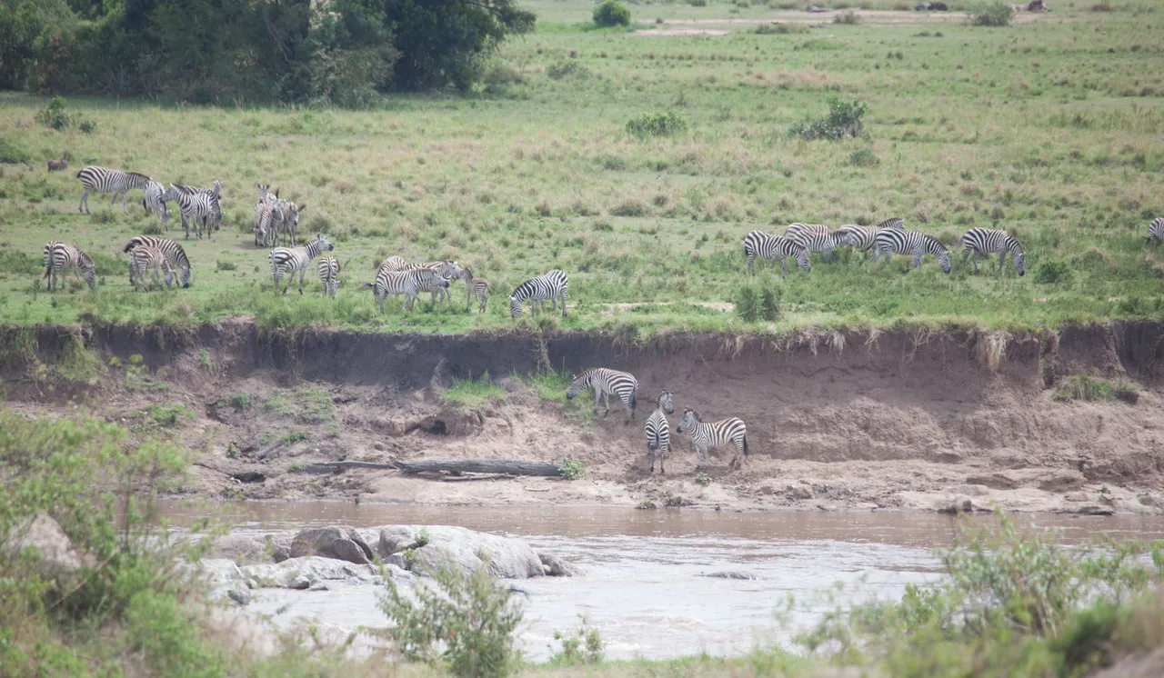 Day11 Serengeti (19 of 93).jpg