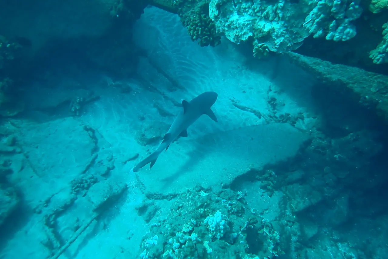 PB300186.JPG