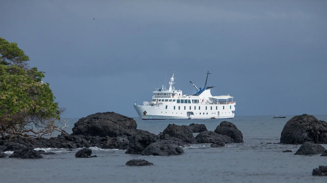 Galapagos Fernandina (31 of 49).jpg