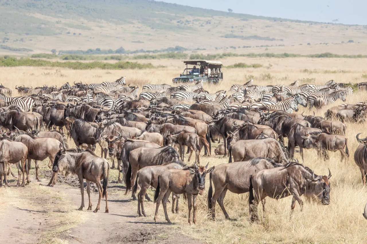 Africa Best (89 of 269).jpg