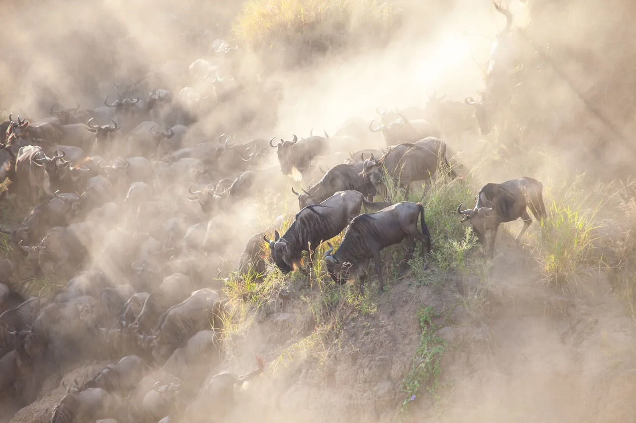 Africa Best (149 of 269).jpg