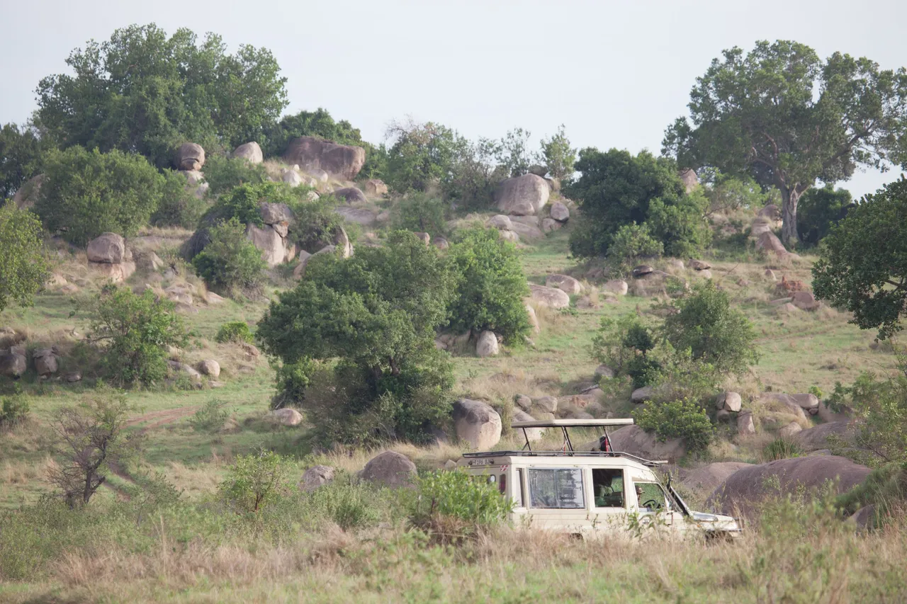 Day11 Serengeti (7 of 93).jpg