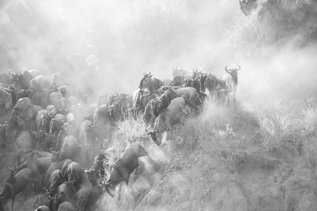 Africa Best (152 of 269).jpg