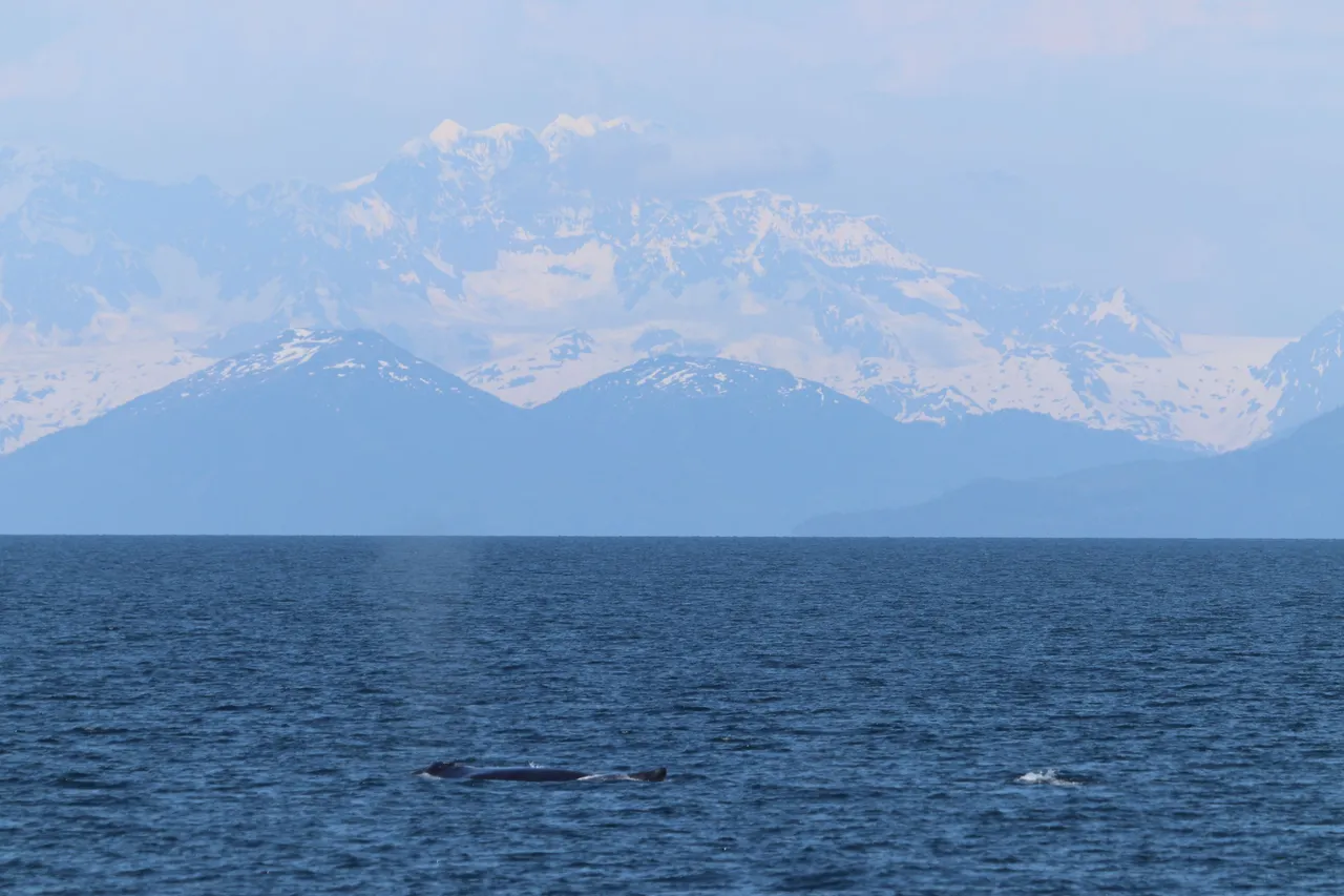 IMG_6279.JPG