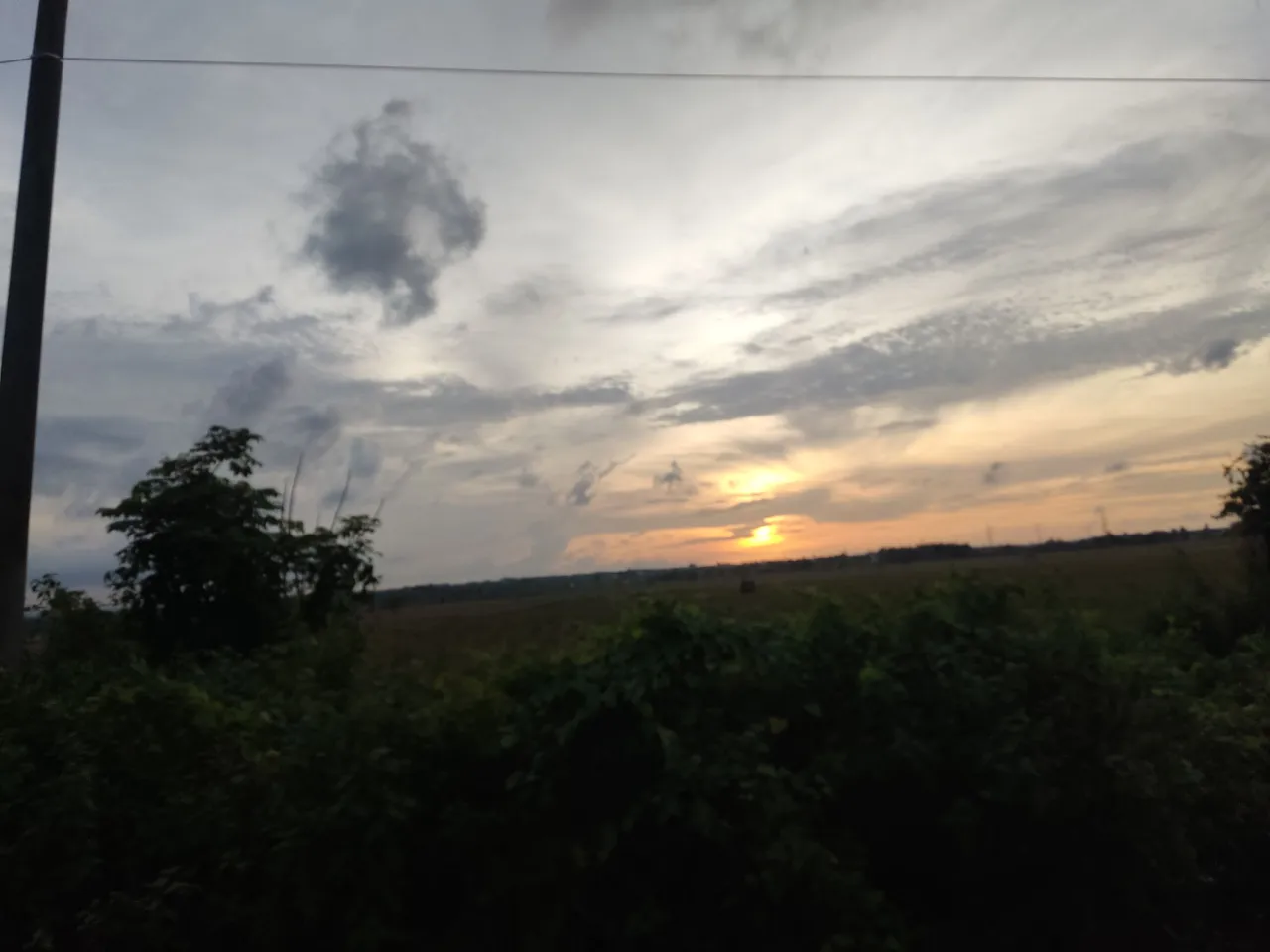 IMG_20230510_182226.jpg