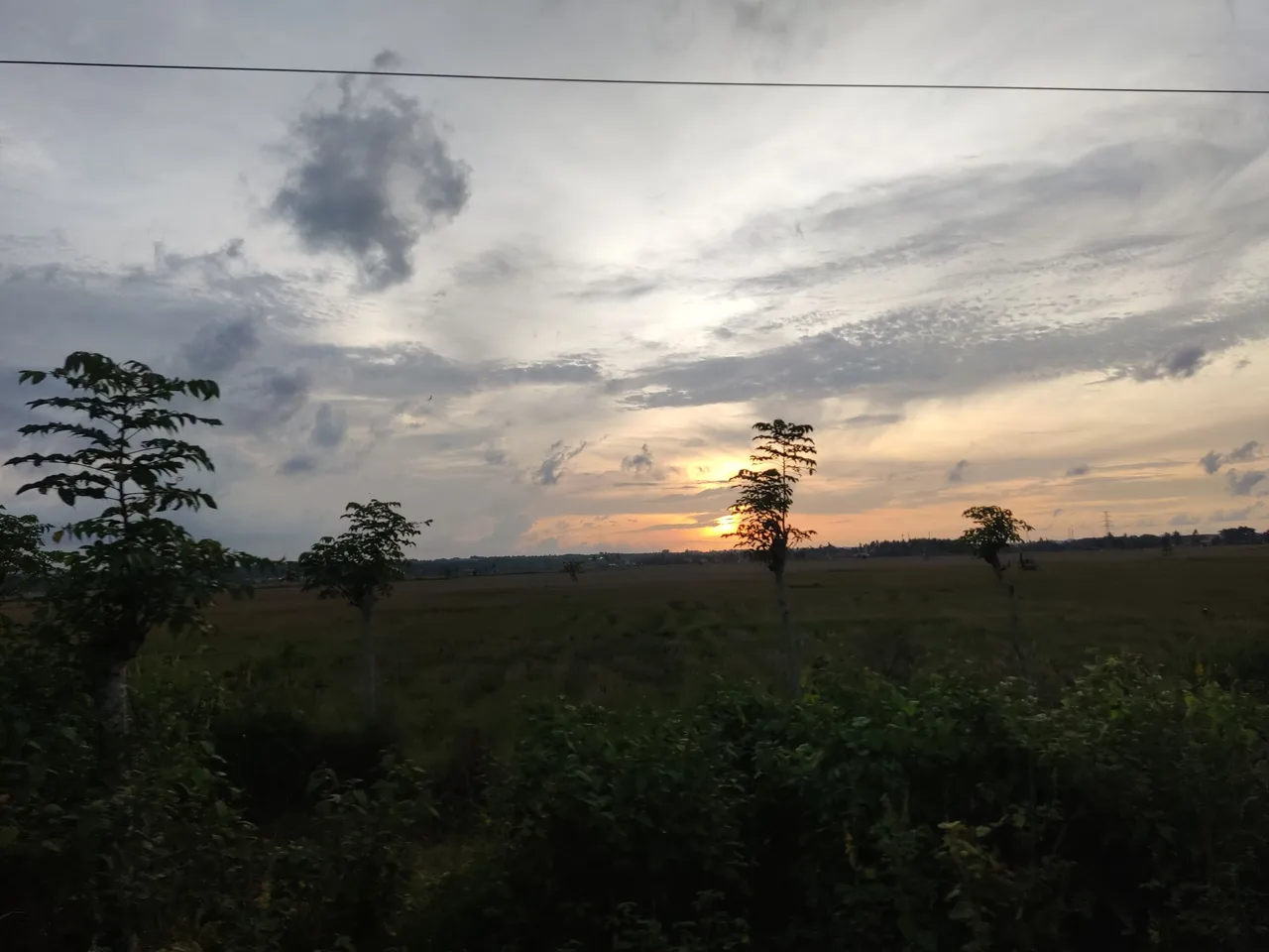 IMG_20230510_182235.jpg
