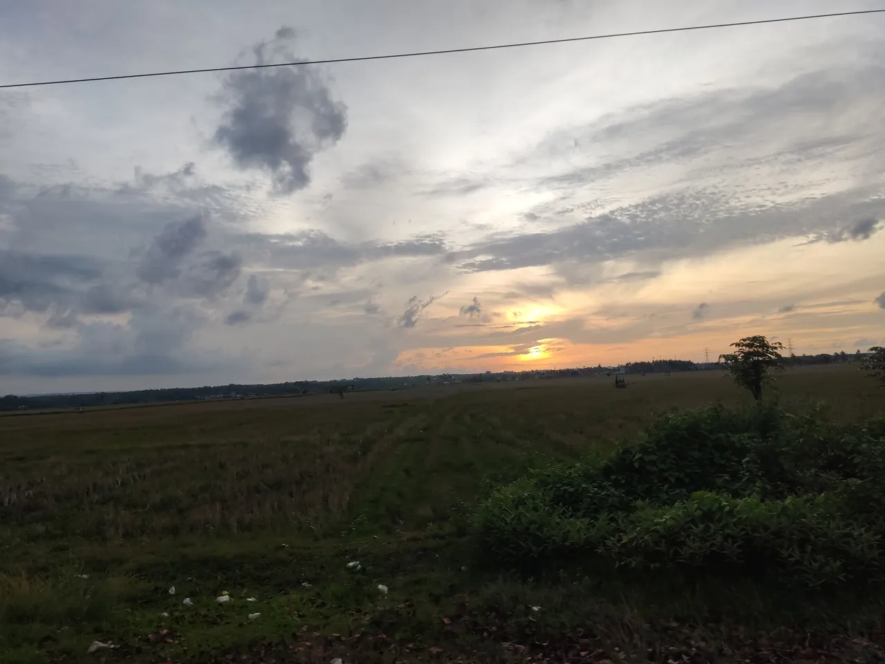 IMG_20230510_182229.jpg