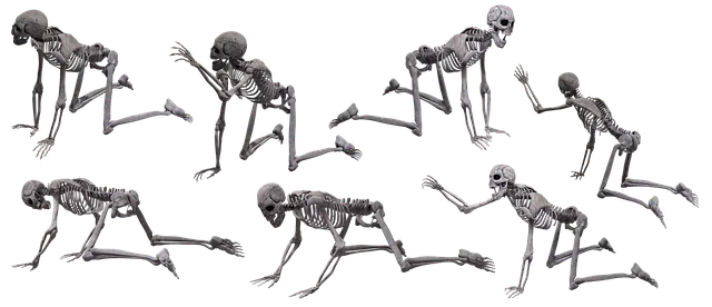 skeleton-3393822_640.png