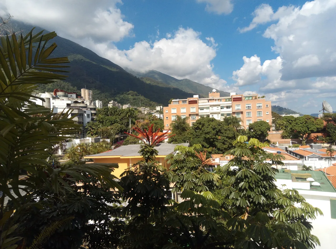 IMG_20230920_151857.jpg
