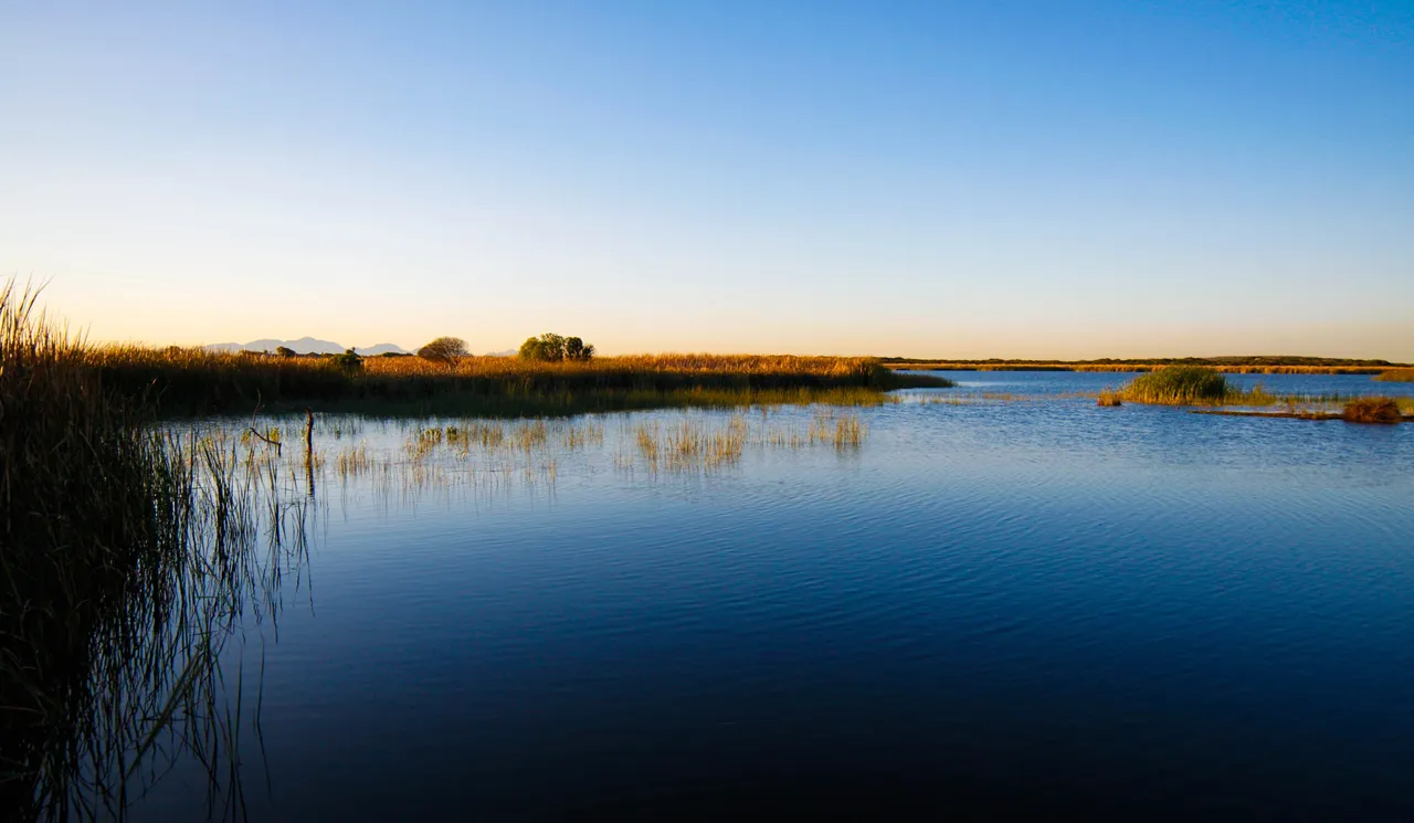 Lake-1-8.jpg