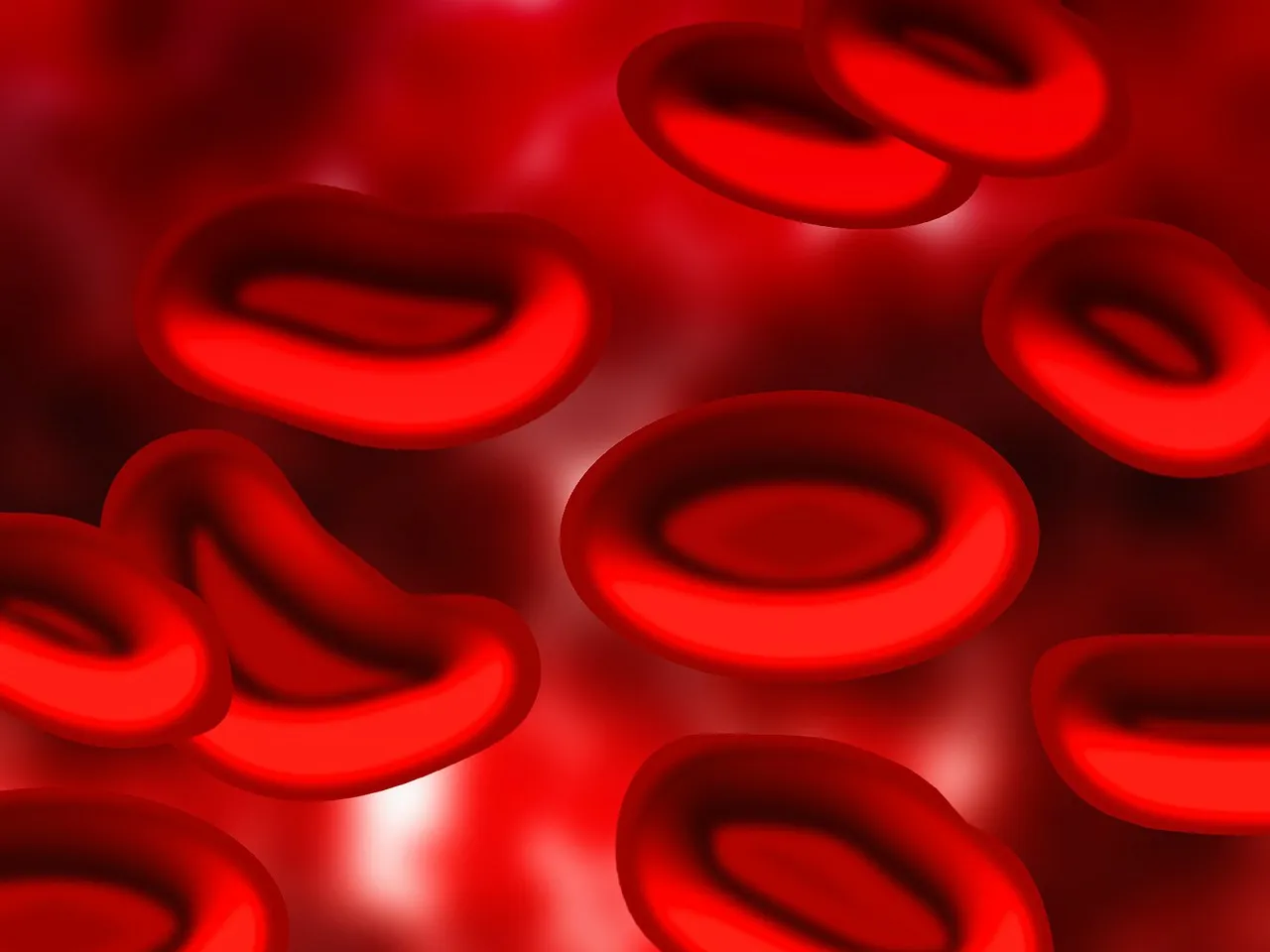 blood-75301_1280.jpg