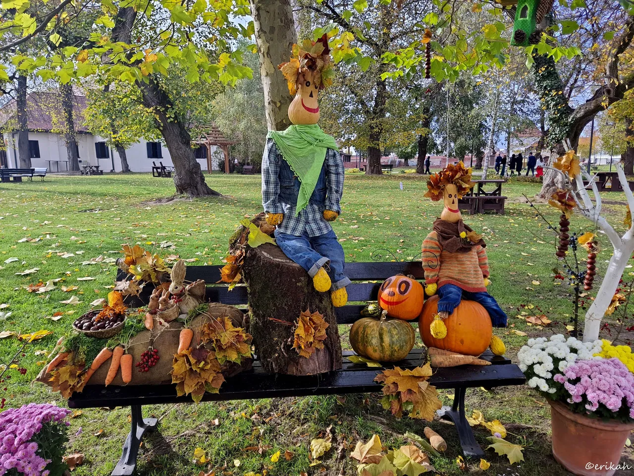 20231110_113345a.jpg
