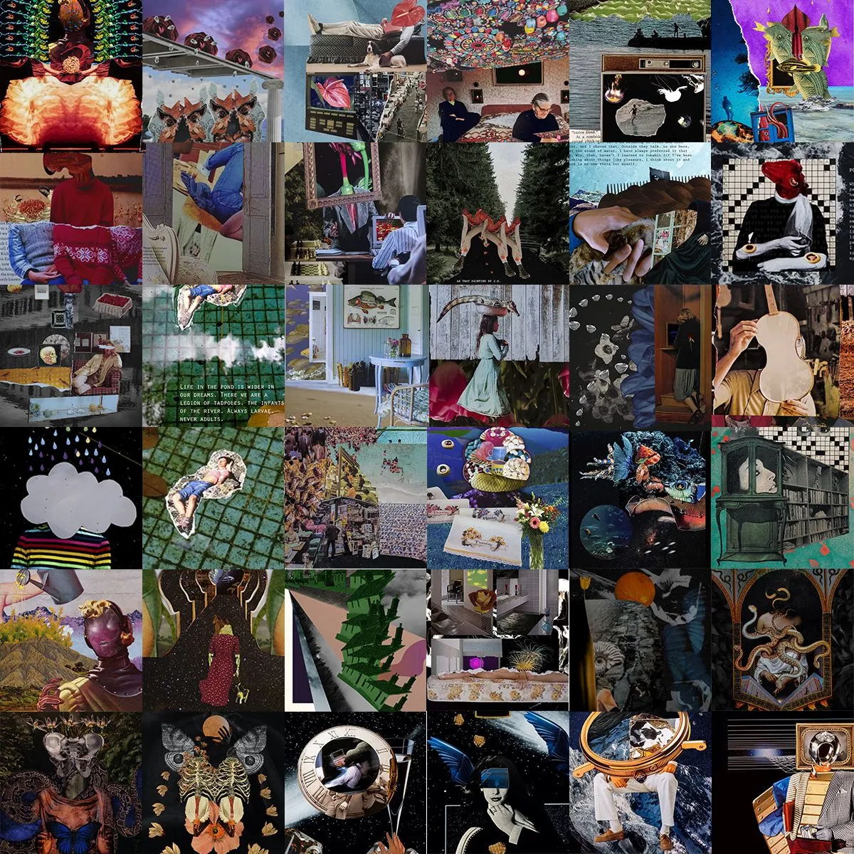 Caverncollage 2022-p2.jpg