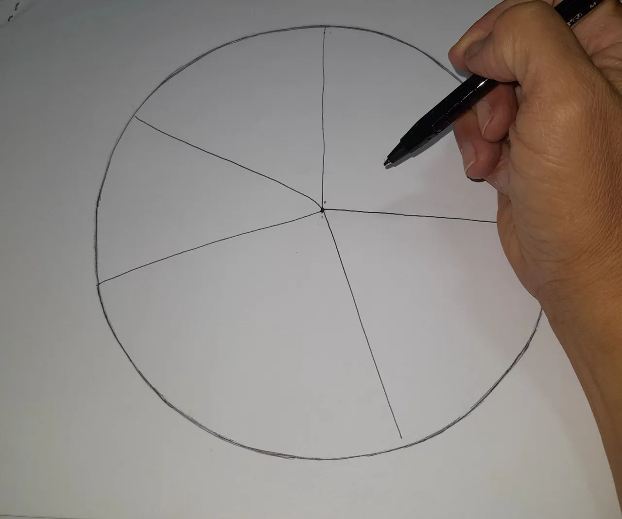 1000165041.jpg