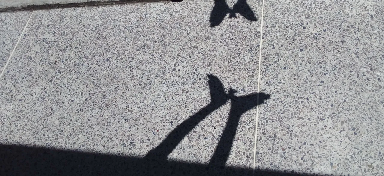 20240408_112601-1.jpg