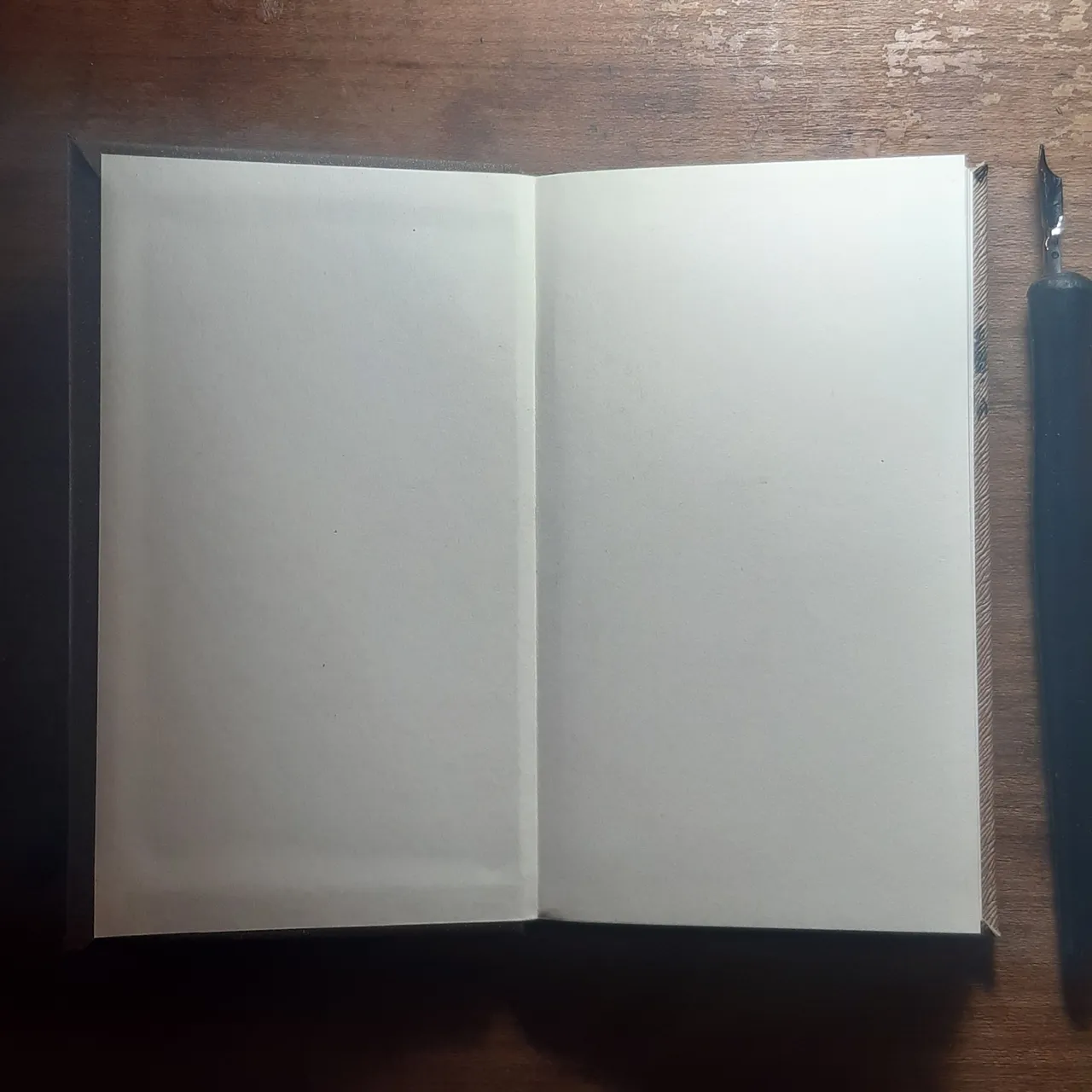 20220923_113731.jpg