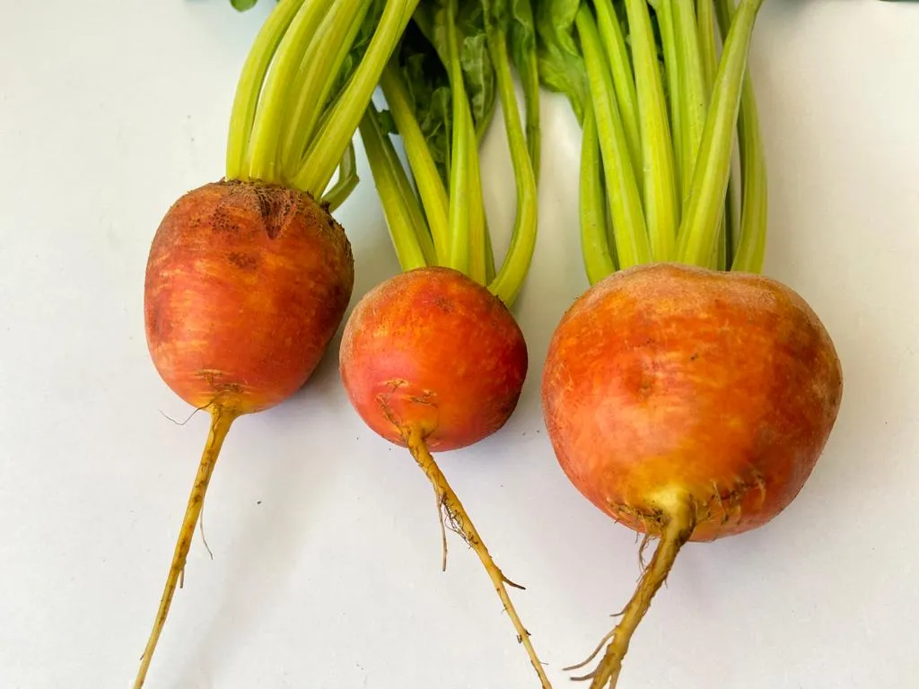 betarragas naranjas (1).jpeg