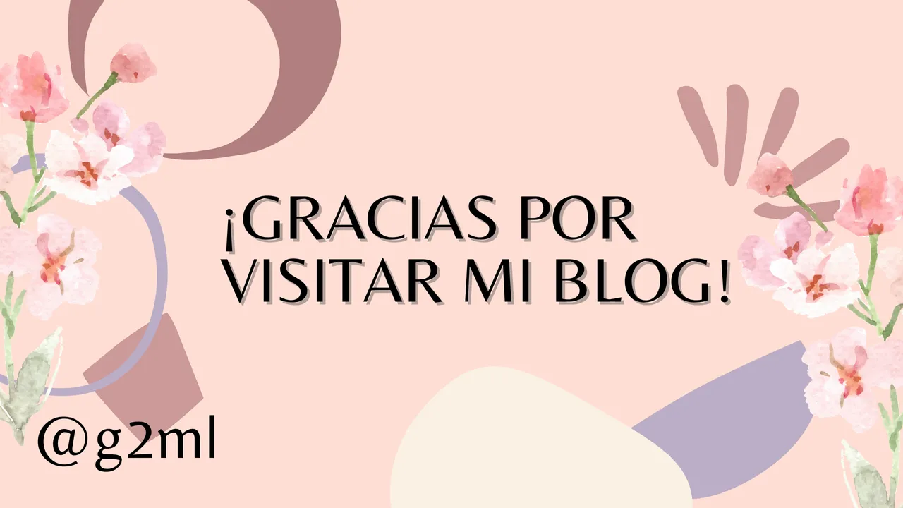 ¡GRACIAS POR VISITAR MI BLOG!.png