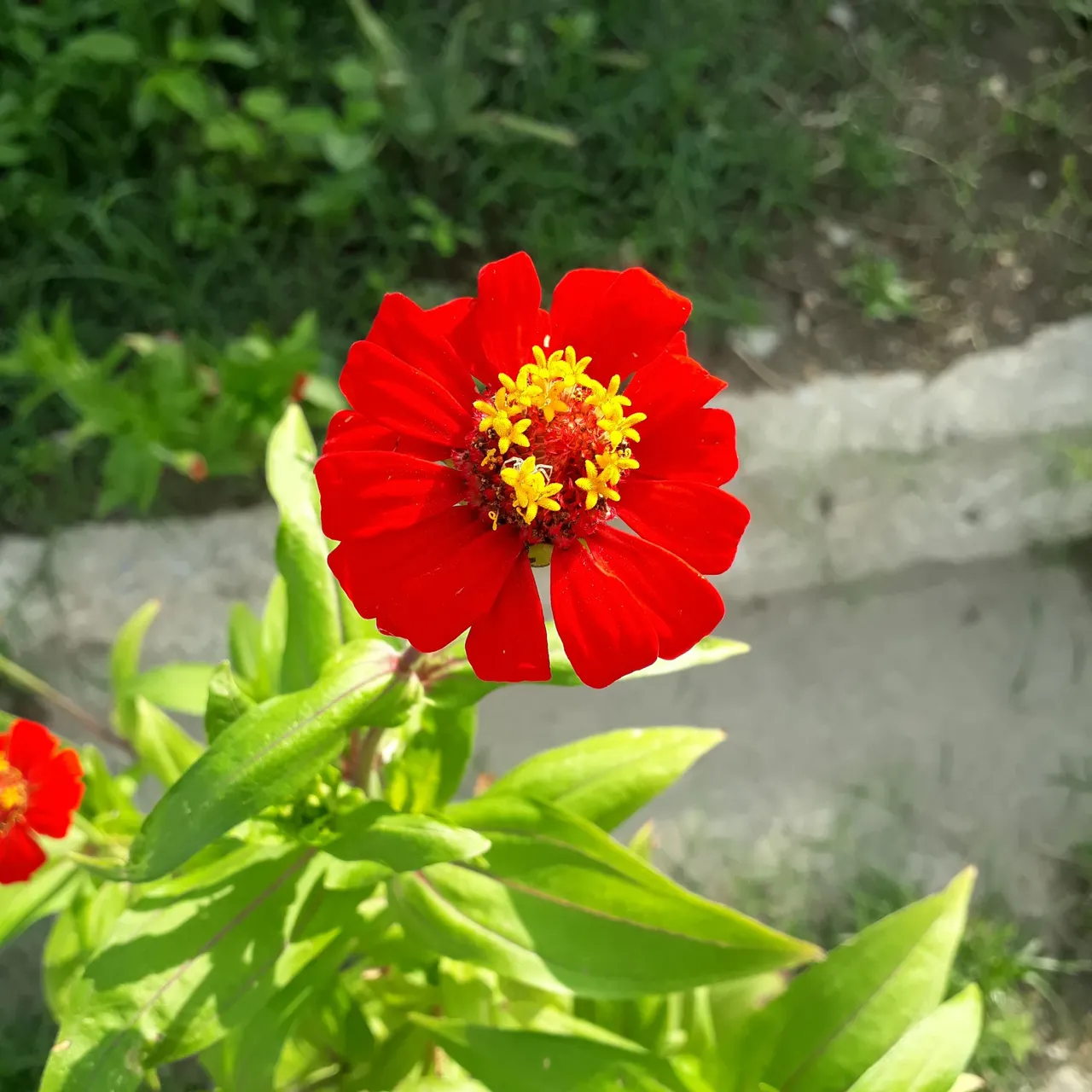 20210504_171346.jpg