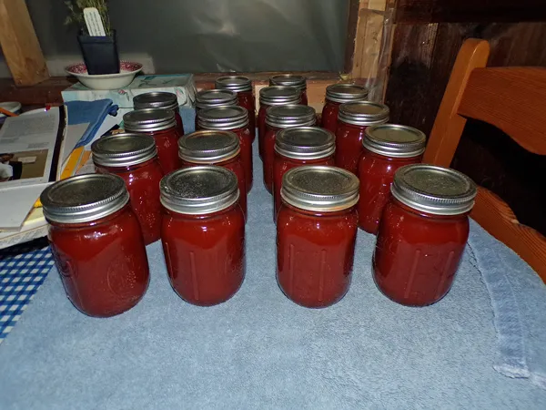 Ketchup  finished 18 pints crop August 2020.jpg