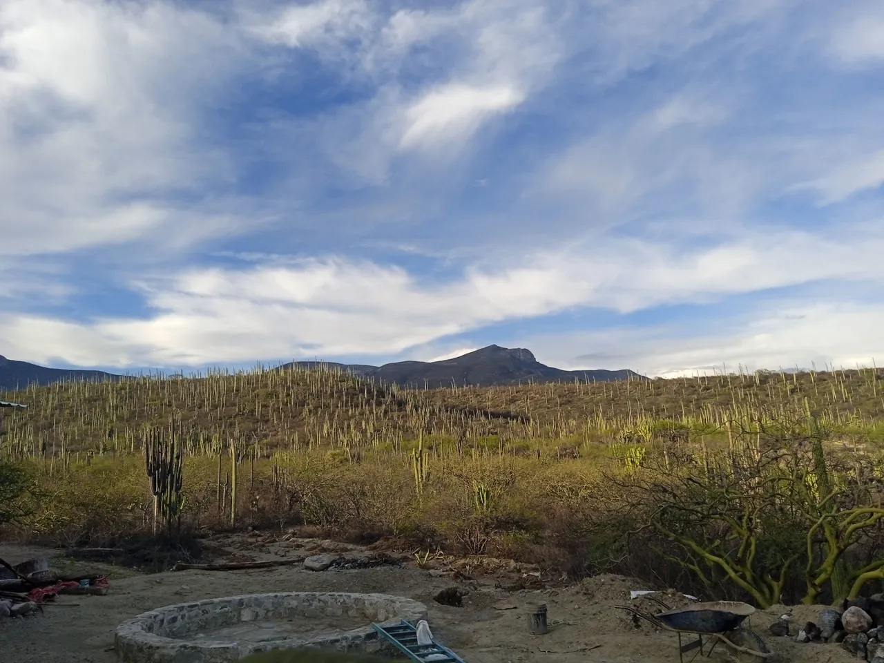 Tehuacan 3.jpg