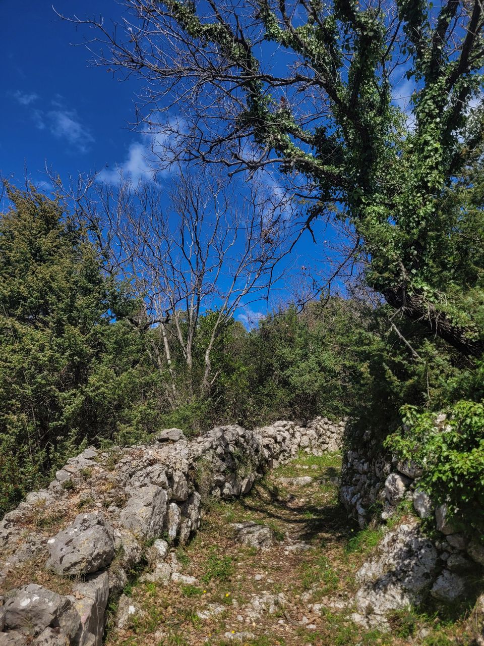 2026-03-24_12-27.08_S20.jpg