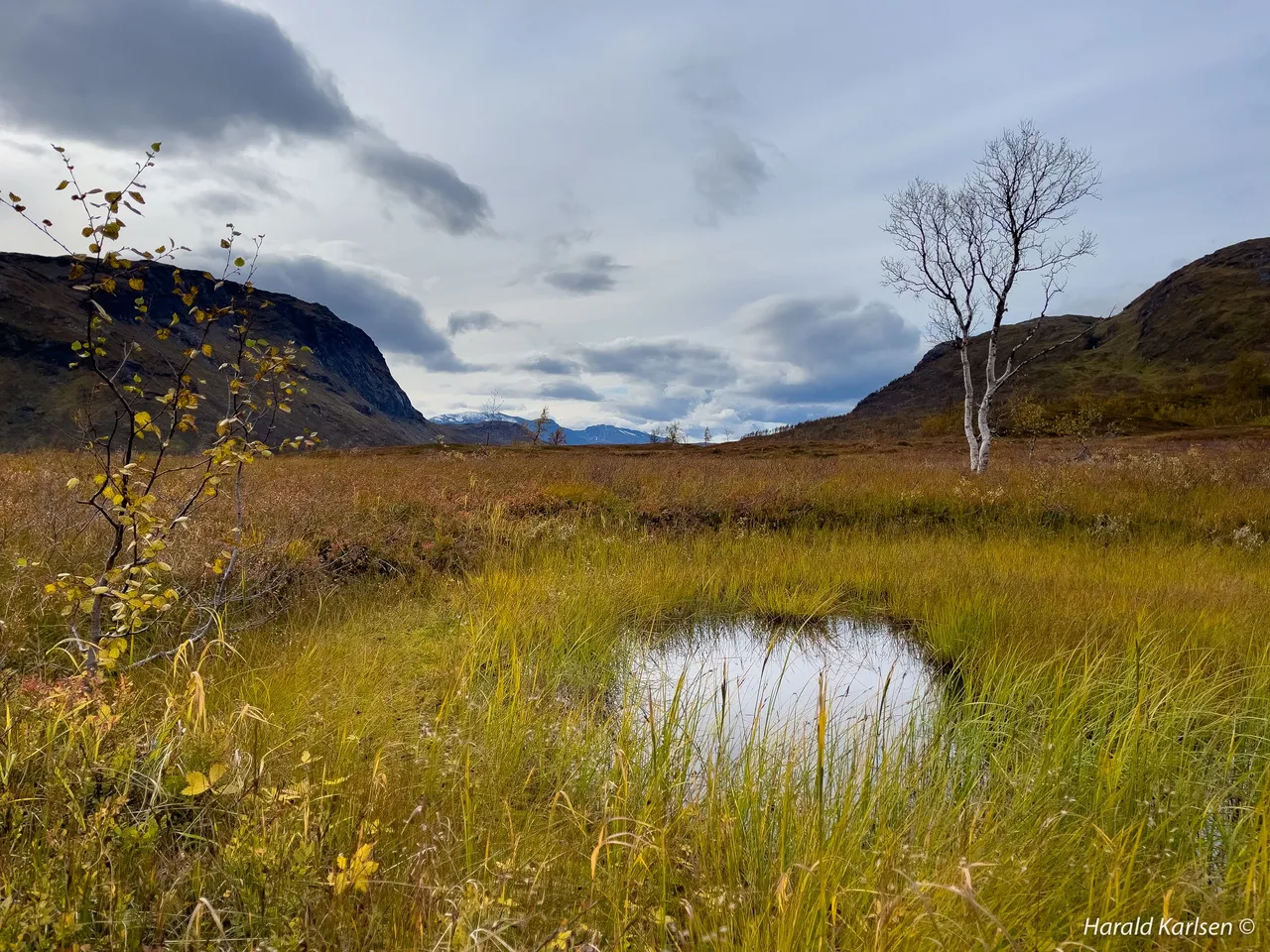 Gressdalen-5.jpg