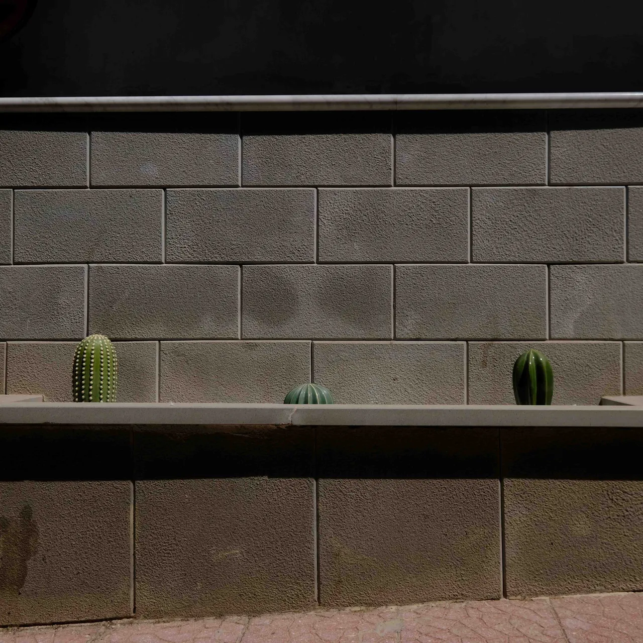 Cactus.jpg