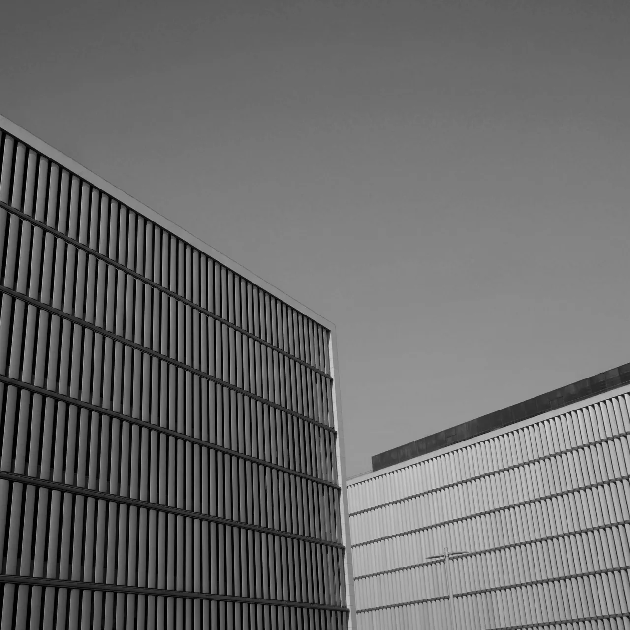 Casa De Musica 4 (1 of 1).jpg