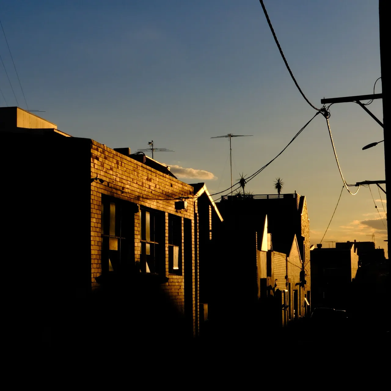 Evening Light 2 (1 of 1).jpg