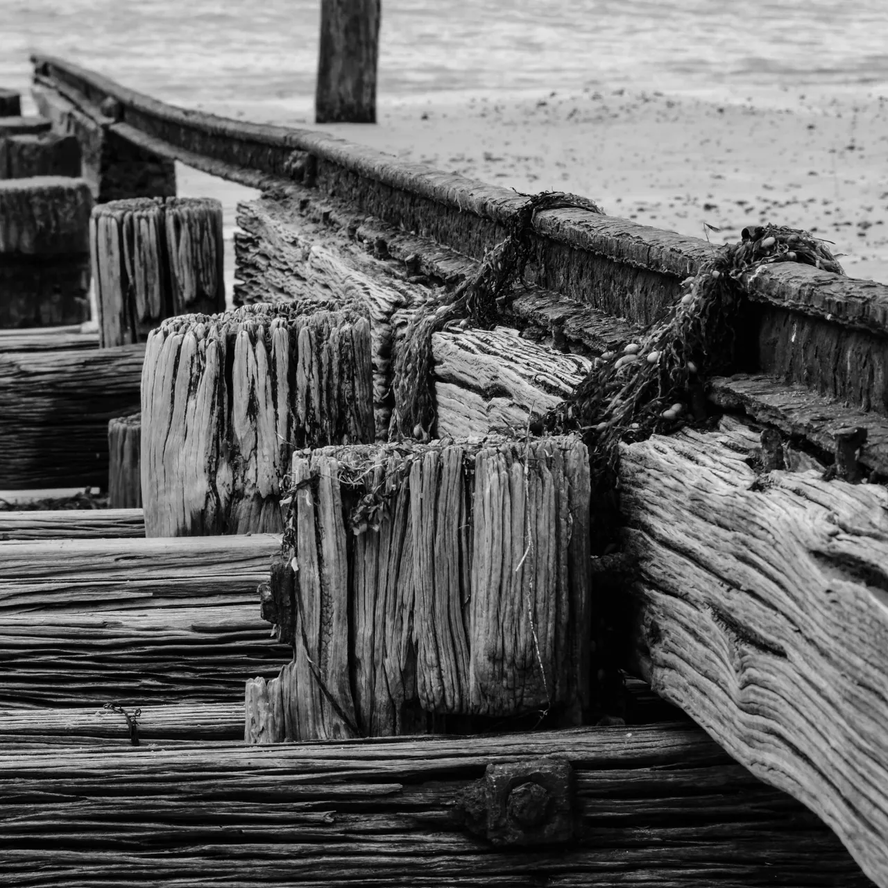 Boat Ramp 3.jpg