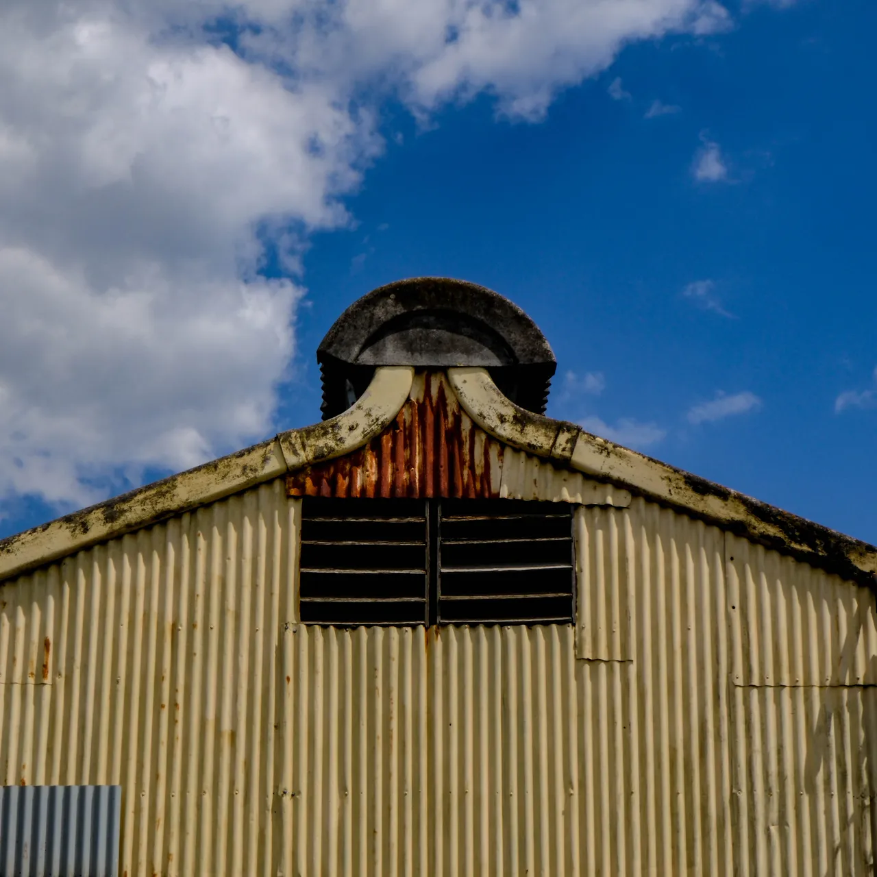 shed (1 of 1).jpg