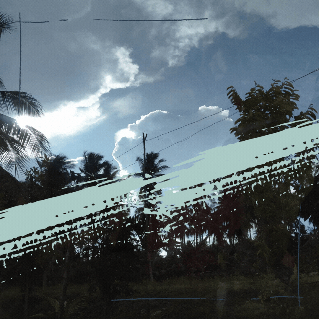Tree (4).gif