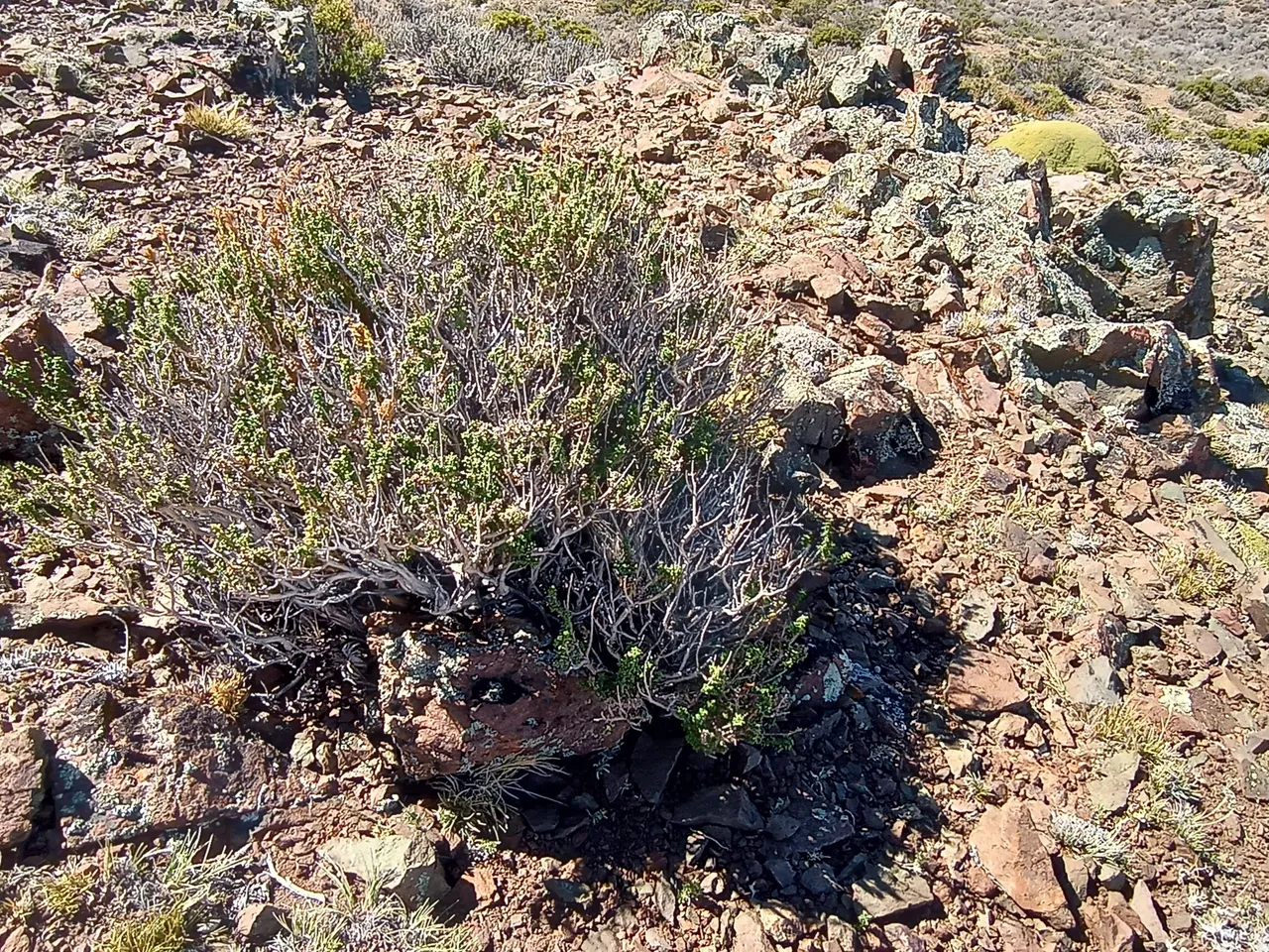 lacaldera6.jpg