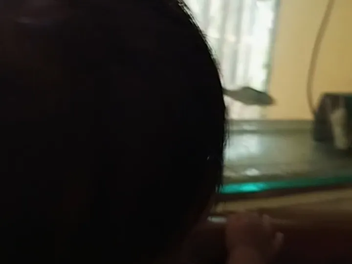 1000016941.jpg