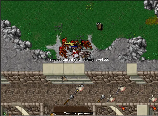 tibia2.png