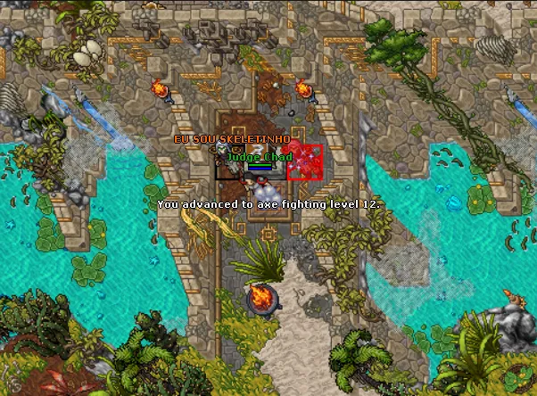 tibia4.png