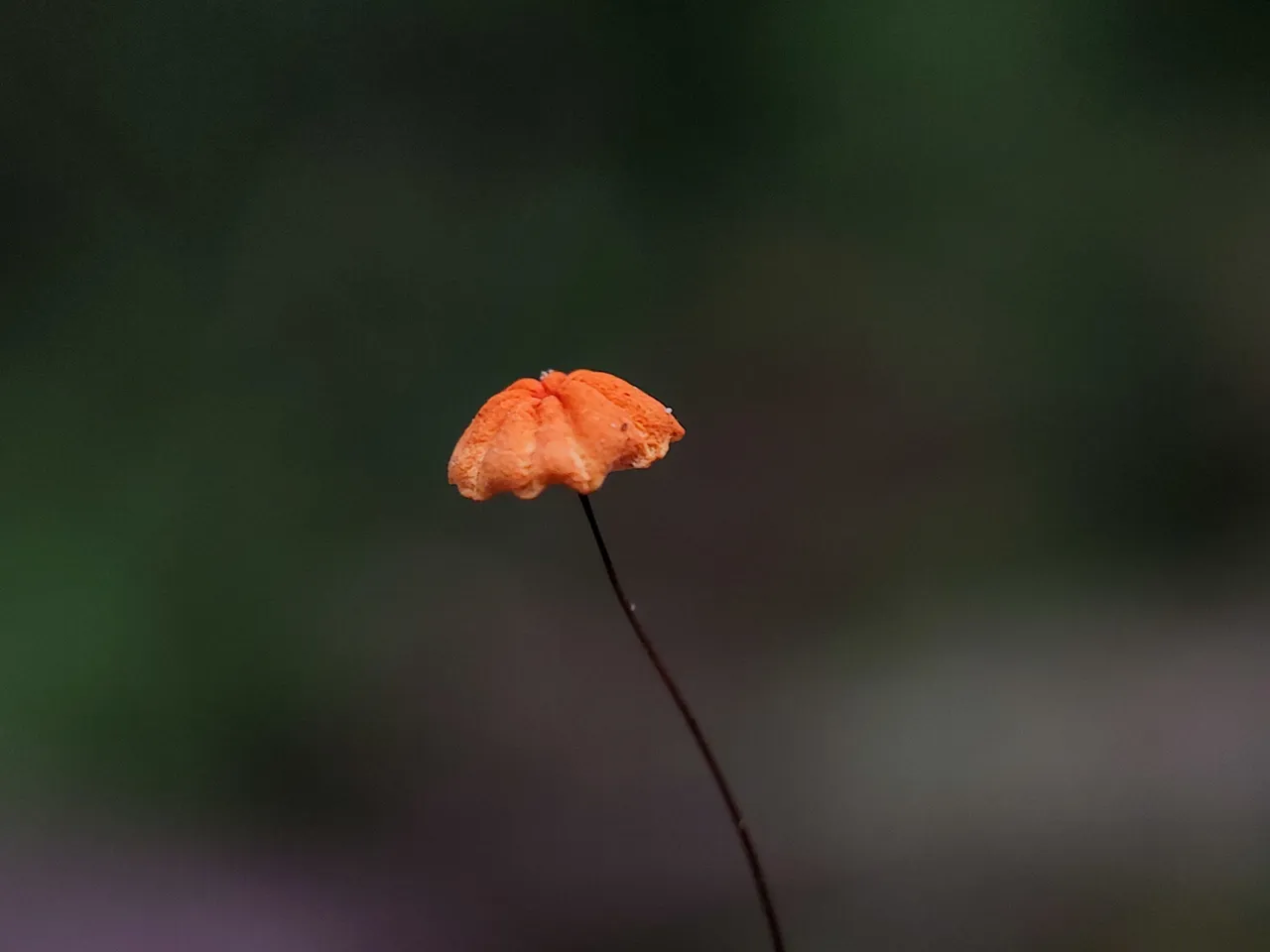 1653061214961.jpg