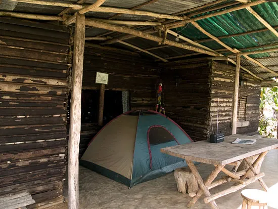 carpa-550.jpg