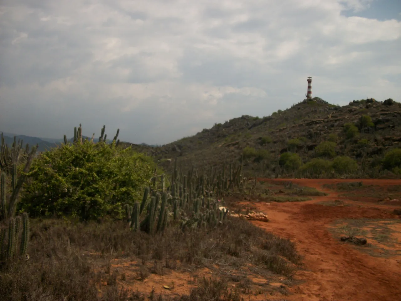 100_7686.JPG