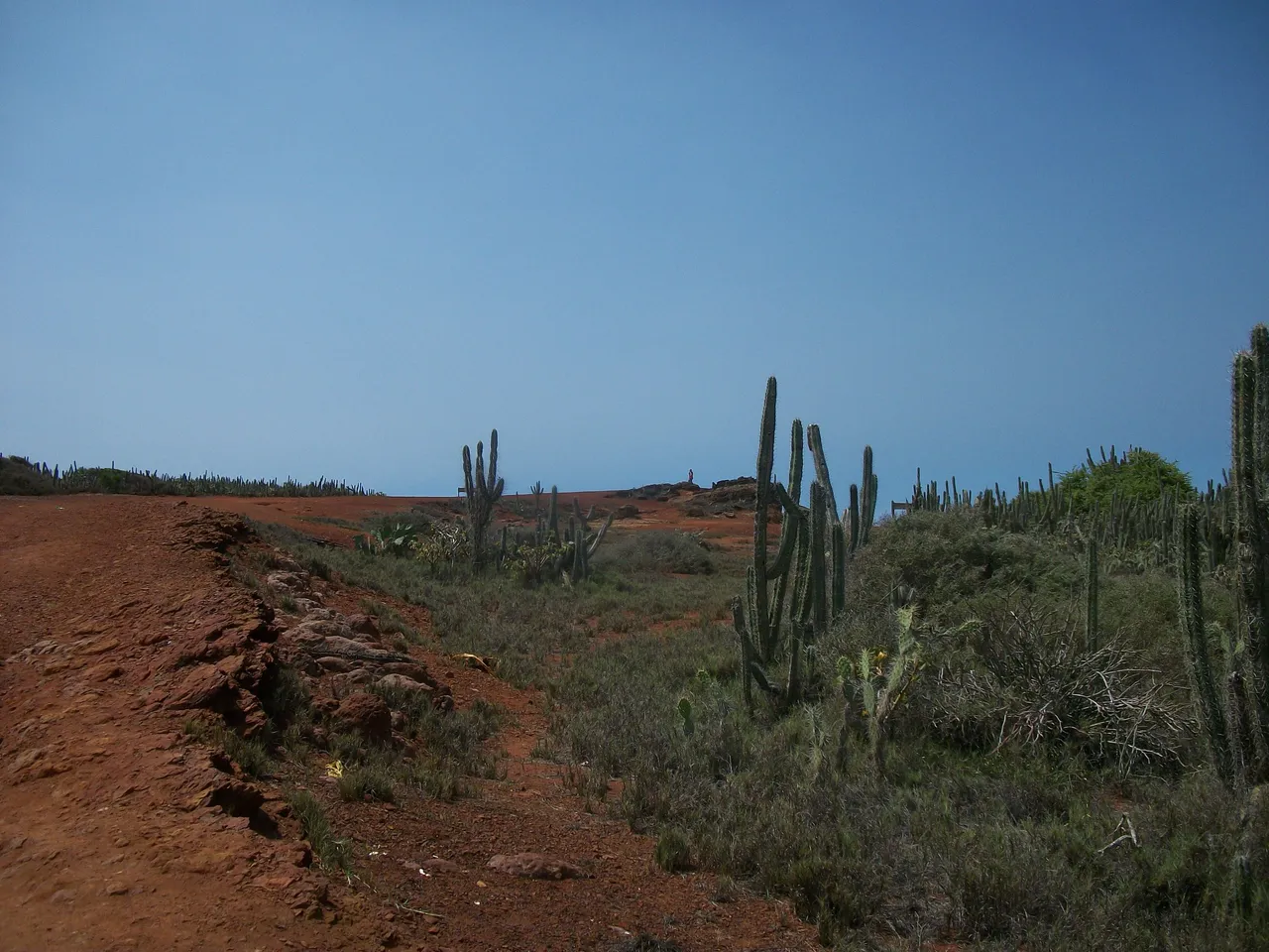100_7676.JPG