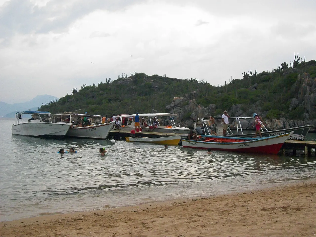100_6428.JPG