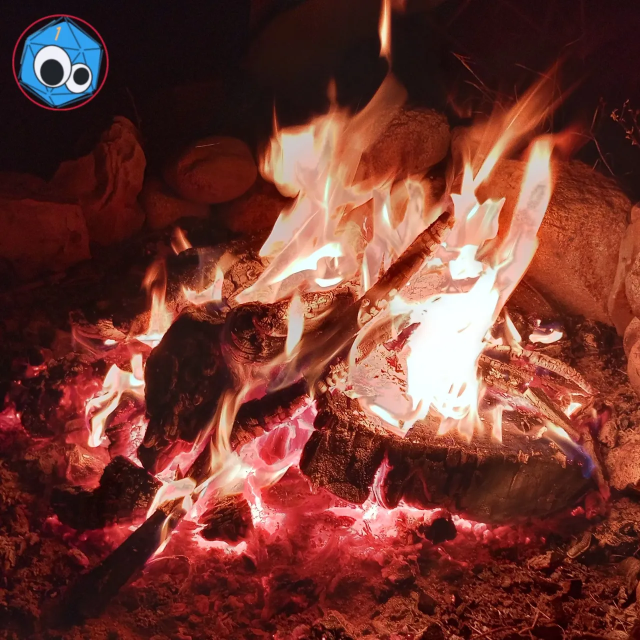 the last bonfire.jpg