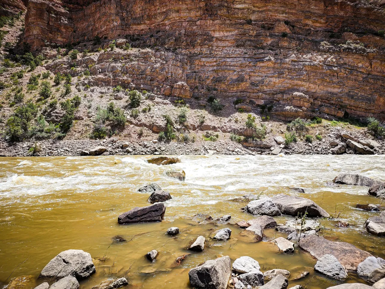 20220606_1353539028877377179354296_large.jpg