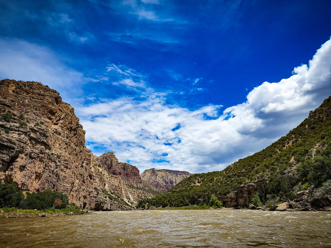 20220606_1309373486379593666996533_large.jpg