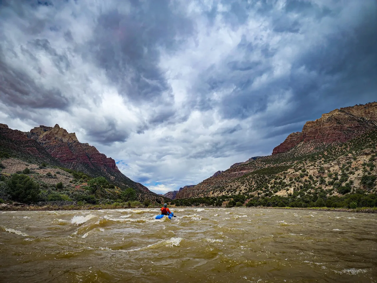 20220606_1231062715791486007680318_large.jpg