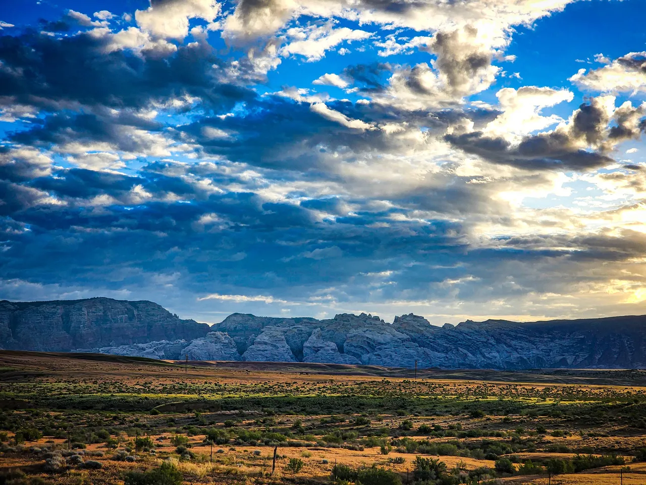 20220606_0618496191968988986519832_large.jpg