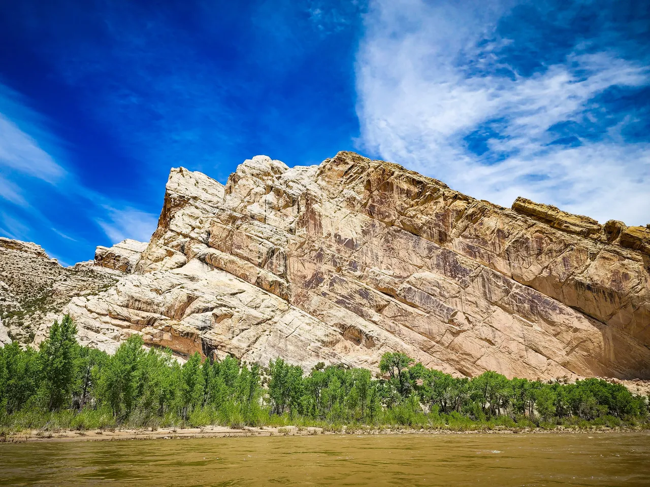 20220606_1431405897956663554339445_large.jpg
